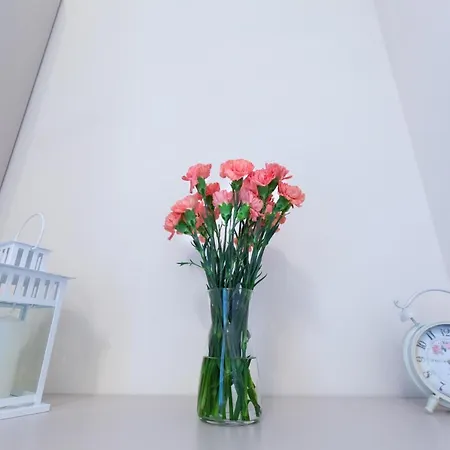 아파트호텔 Pcd Ochota 바르샤바